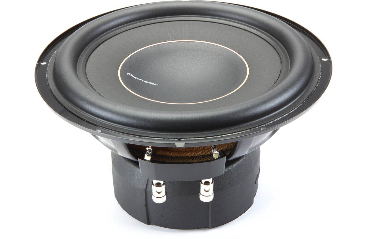 10&quot; Subwoofer With Dual 2-Ohm Voice Coils